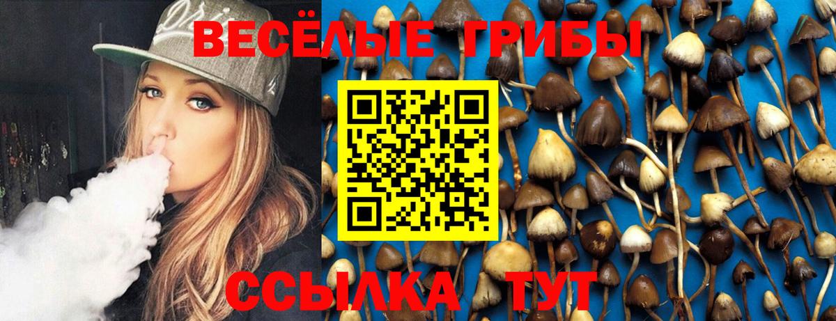 Галлюциногенные грибы Cubensis  Вход с VPN  Вятские Поляны 