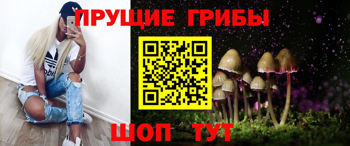 Псилоцибиновые грибы Magic Shrooms Вятские Поляны
