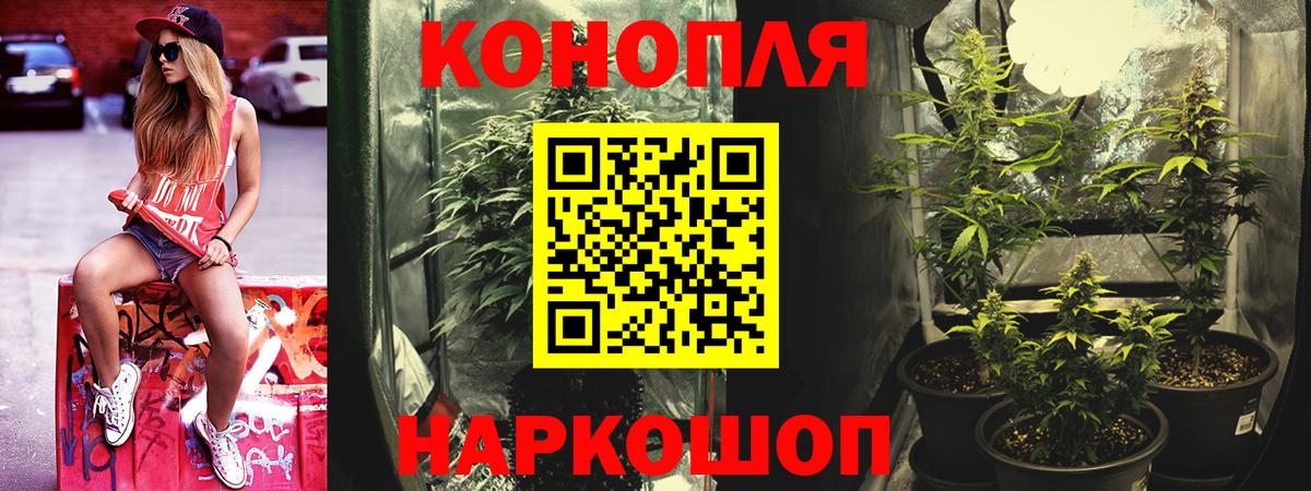 Шишки марихуана ГИДРОПОН Вятские Поляны